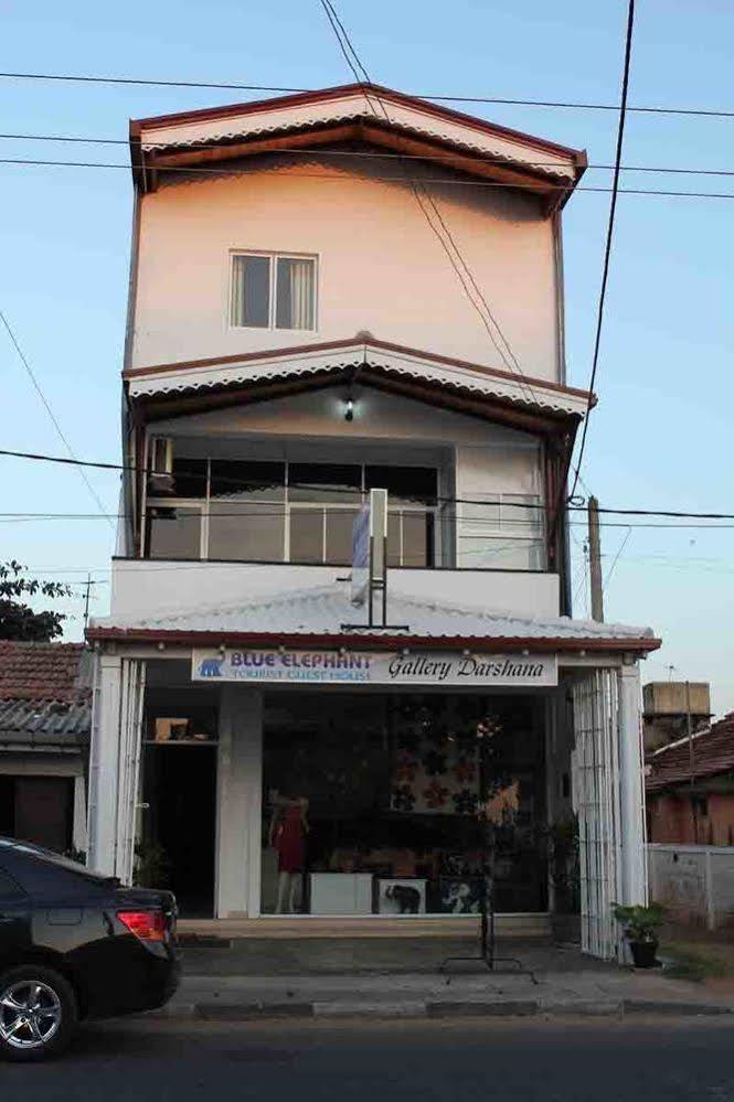 Blue Elephant Tourist Guesthouse Kudapaduwa Eksteriør bilde